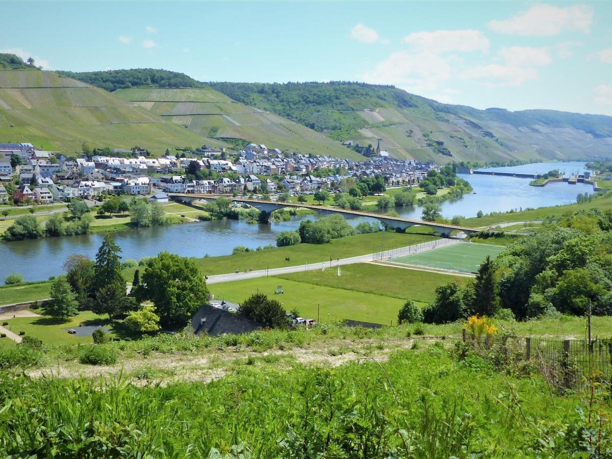 Gaestehaus Schwaab Zeltingen-Rachtig Eksteriør bilde